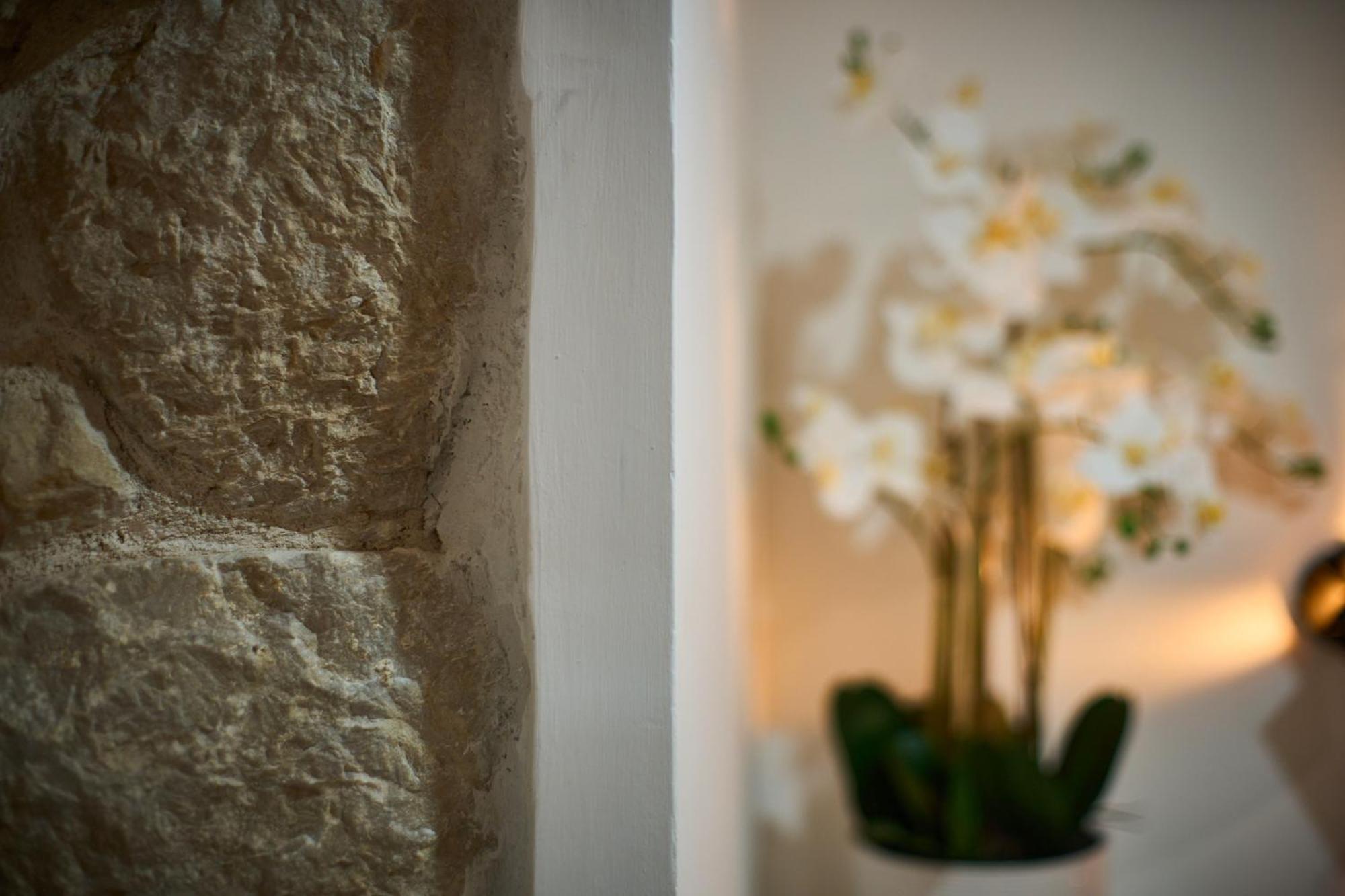 斯普利特Bernard Deluxe Renovated Peaceful Old Town Gem公寓 外观 照片